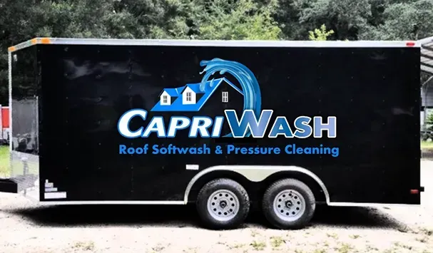 A clean driveway after Capri Wash service