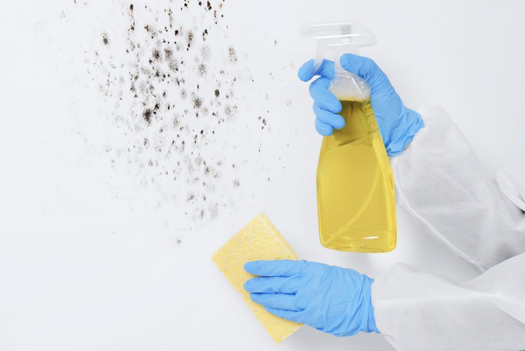 Mold & Mildew Removal in South Jersey by Capri Wash